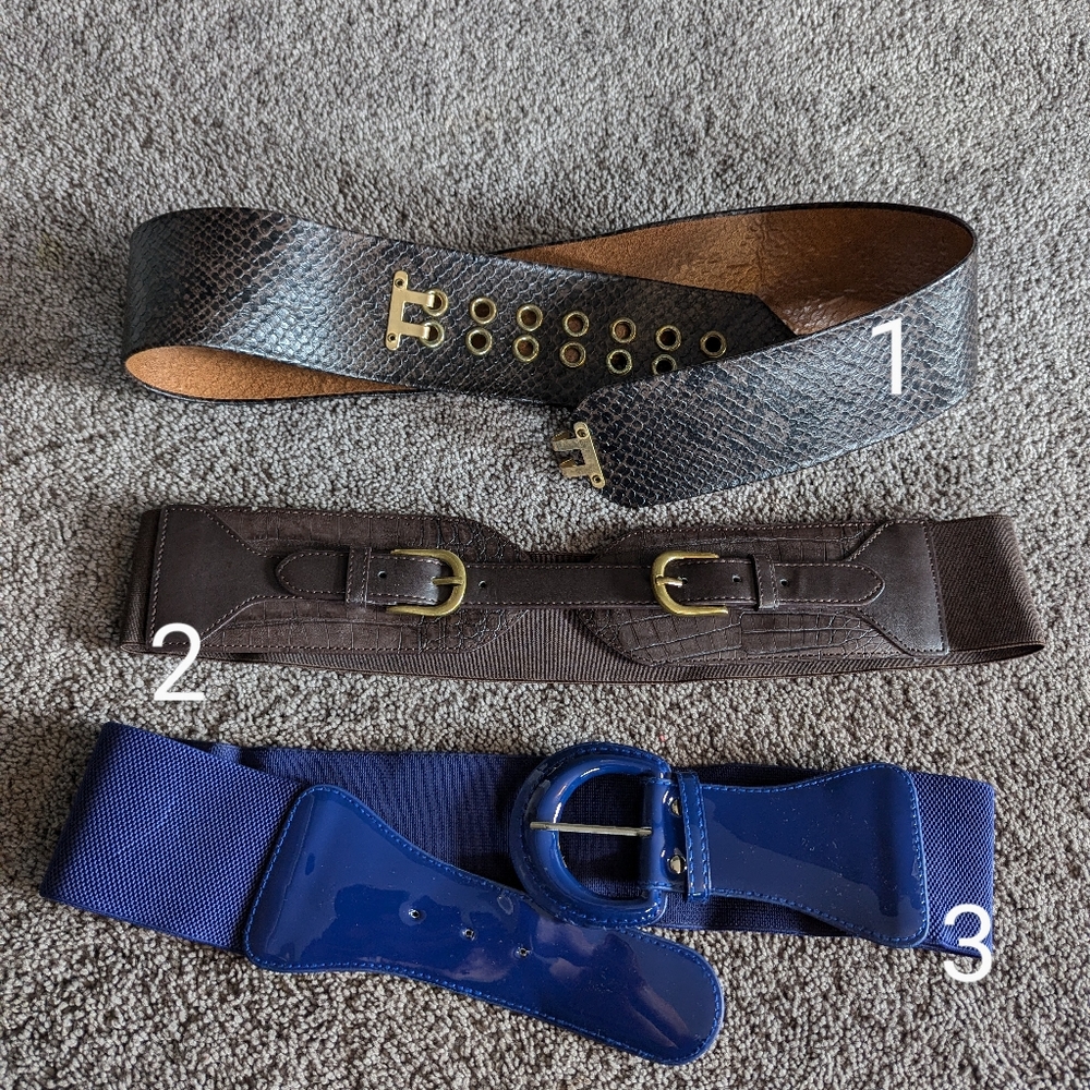 Three Statement Belts - image 2